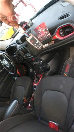 جيب رينيجيد